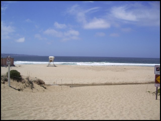 usa06june200.jpg