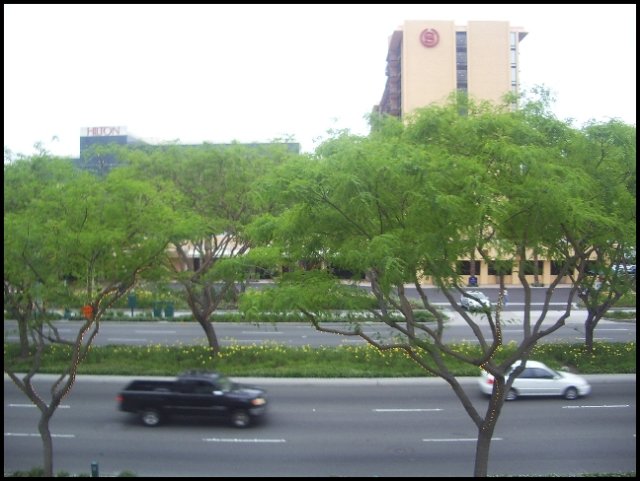 usa06june302.jpg