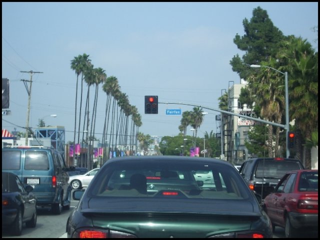 usa06june322.jpg